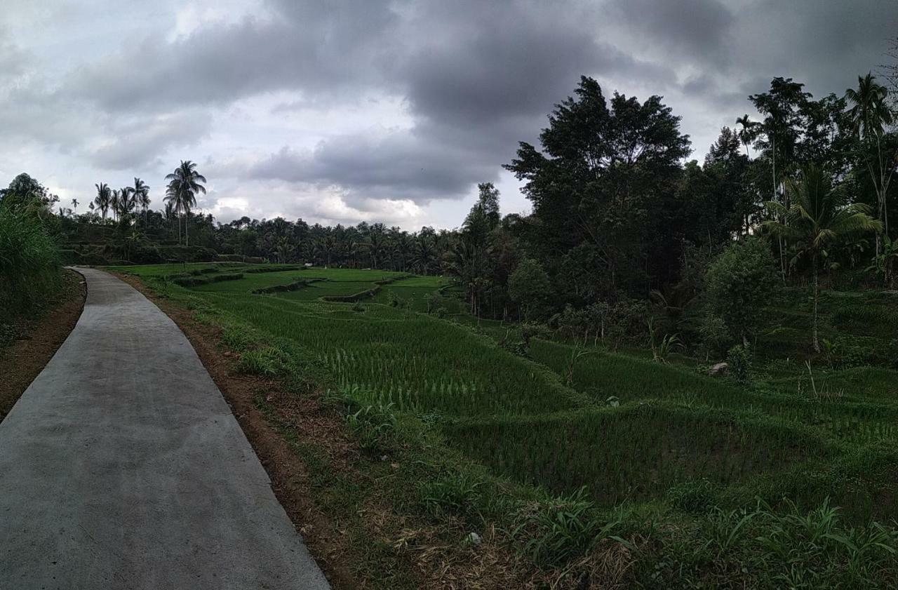 Appartement Bale Kembang Kuning à Tetebatu Extérieur photo