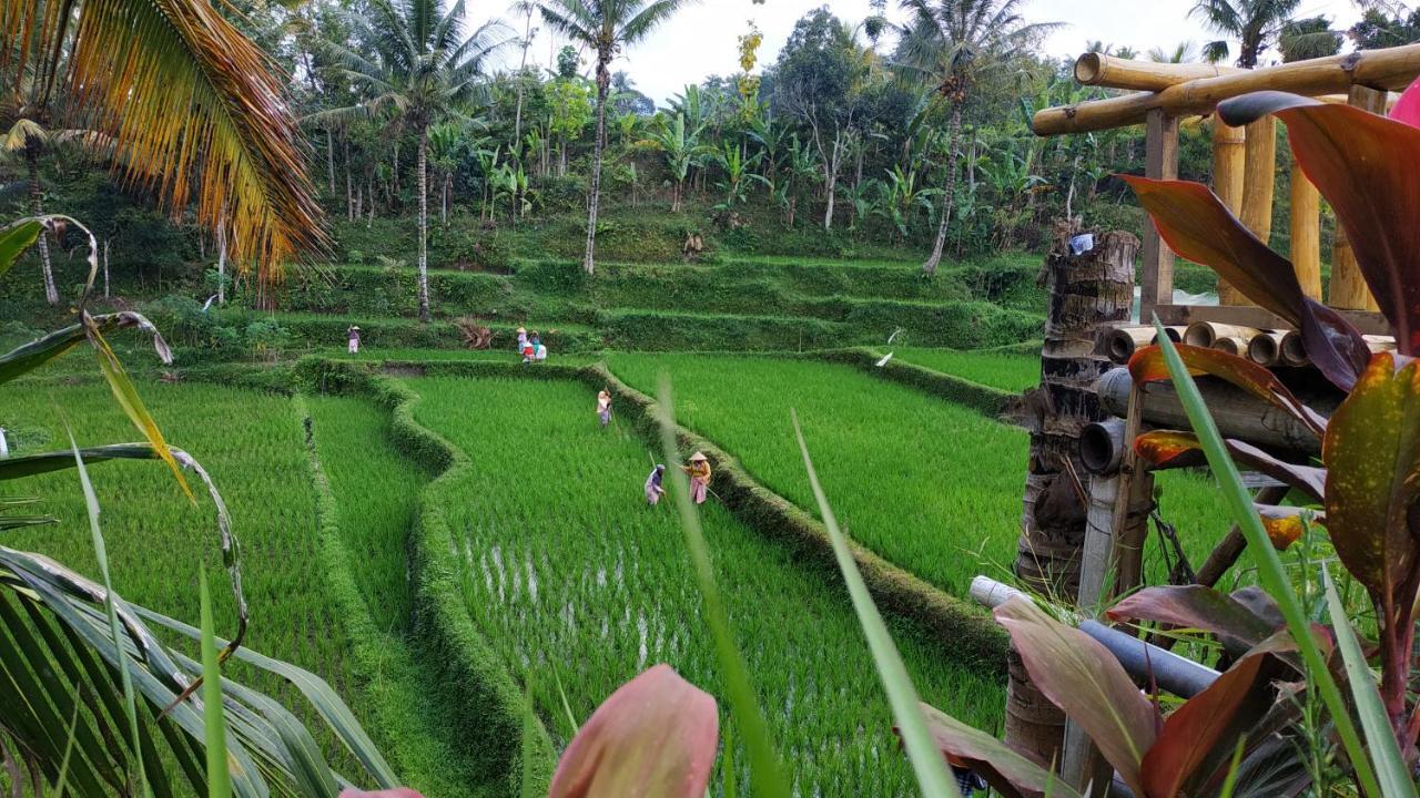 Appartement Bale Kembang Kuning à Tetebatu Extérieur photo